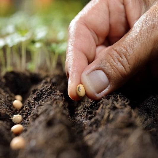 Exploring Different Planting Methods: A Guide to Growing Healthy Crops