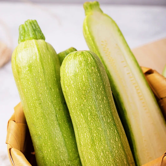 Zucchini Green Long|长绿西葫芦