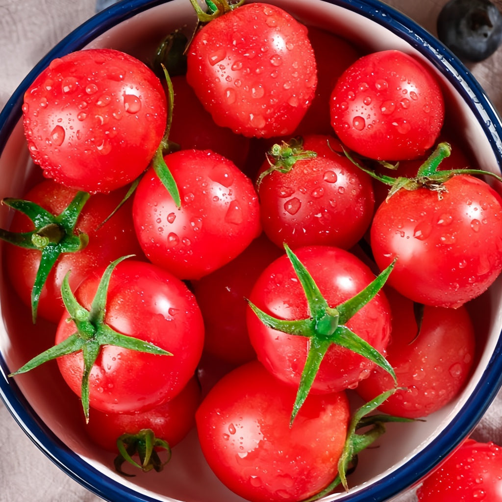 Cherry tomatoes seed