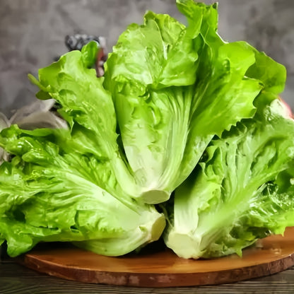 Iceberg lettuce