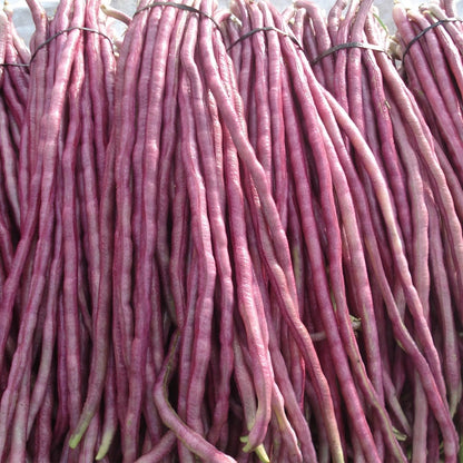 Long Bean Purple Shine